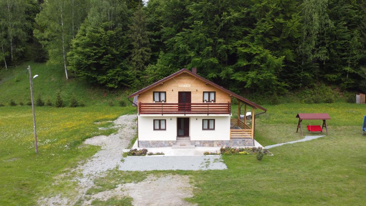 Pensiunea Floare De Colt Moisei Exterior photo