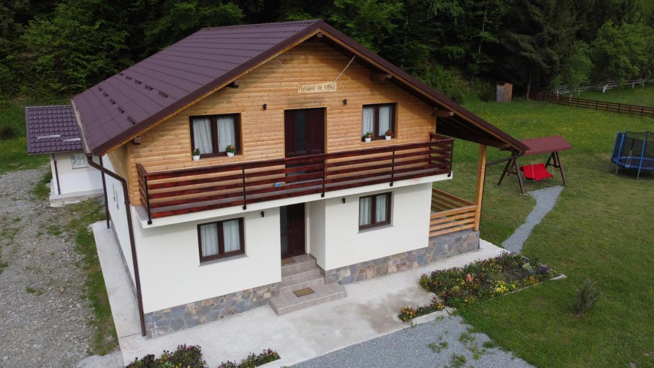 Pensiunea Floare De Colt Moisei Exterior photo