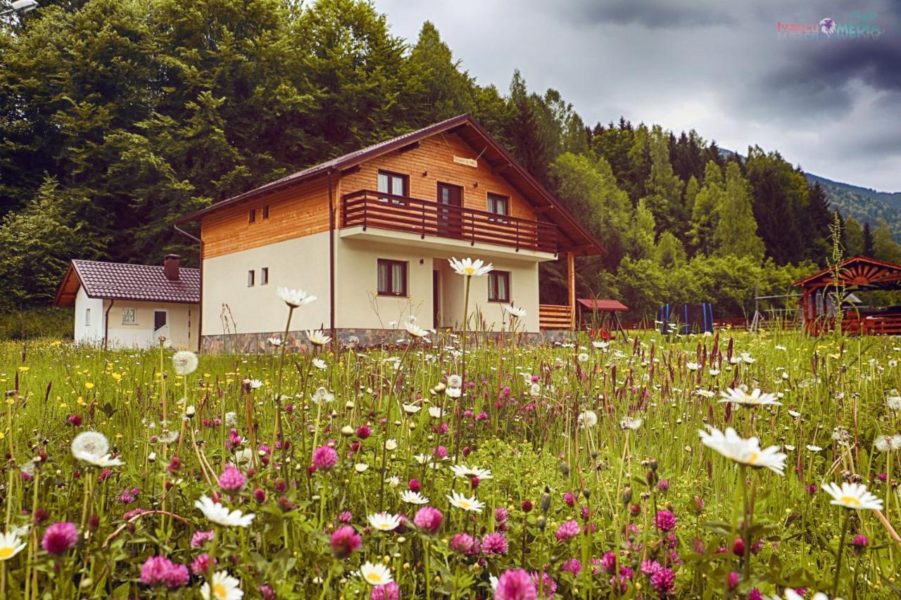 Pensiunea Floare De Colt Moisei Exterior photo