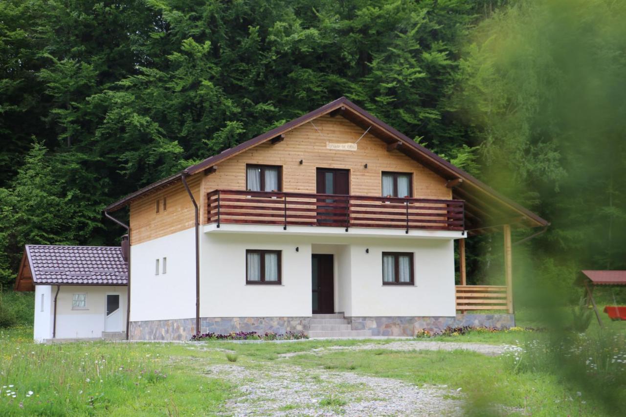 Pensiunea Floare De Colt Moisei Exterior photo
